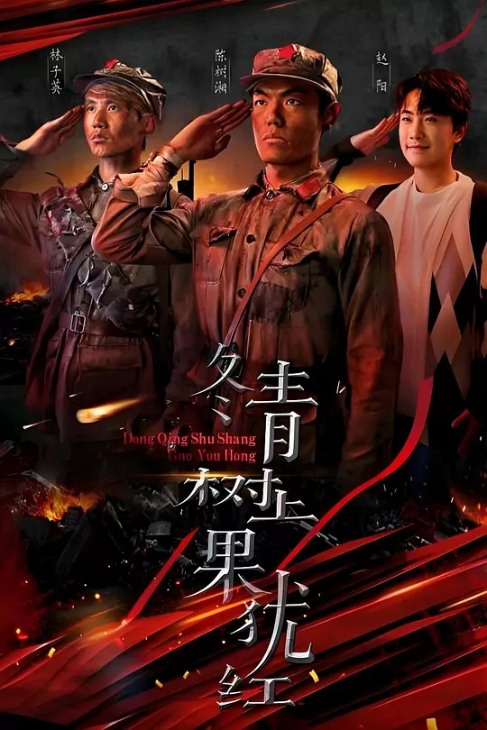 冬青树上果犹红