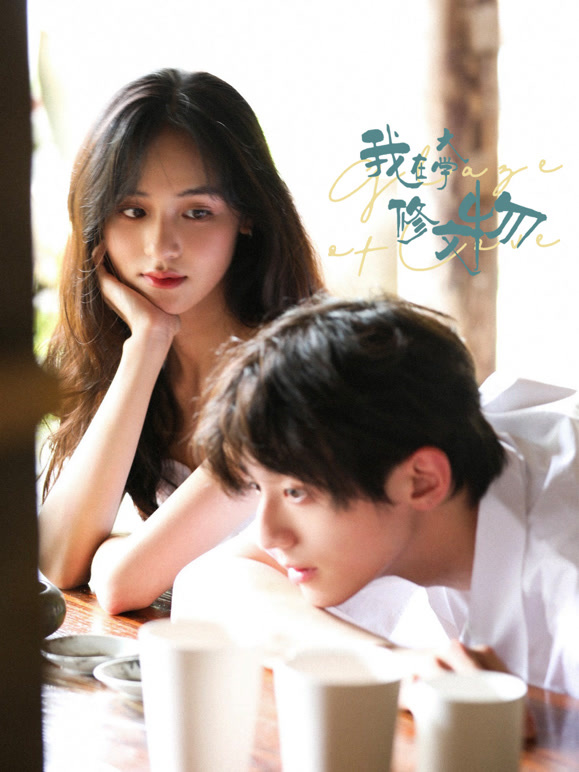 我在大学修文物(全集)